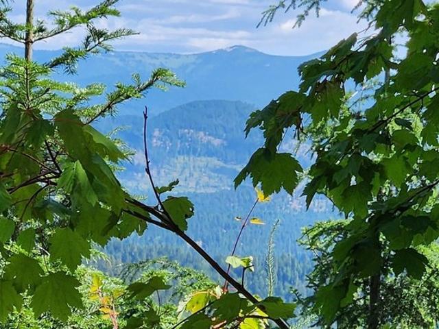 Land for sale in Priest River, Idaho
