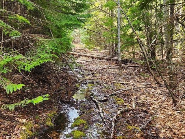 Land for sale in Priest River, Idaho