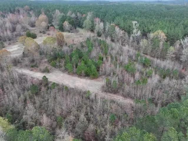 House for rent in Arkadelphia