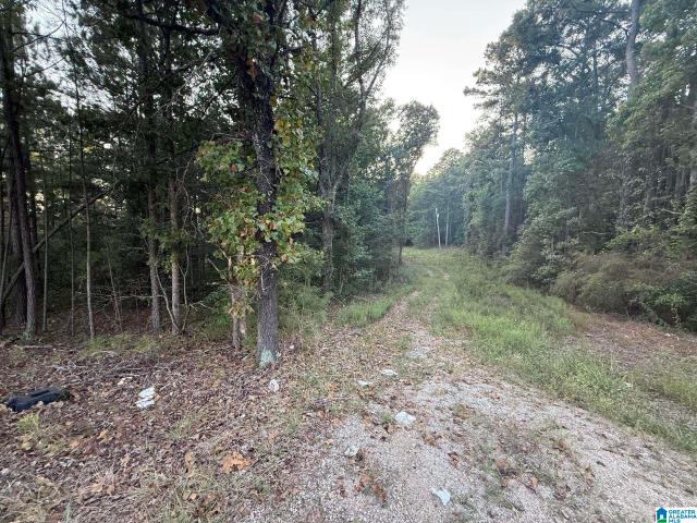 Land for sale in Alabama
