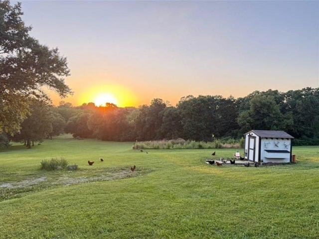 Land for sale in Holt, Clay County