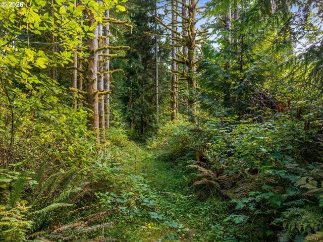 Land for sale in Rainier, Columbia County