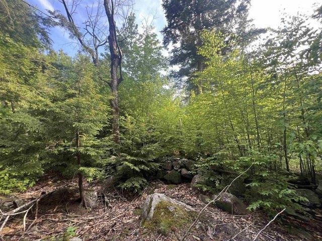 Land for sale in New Hampshire
