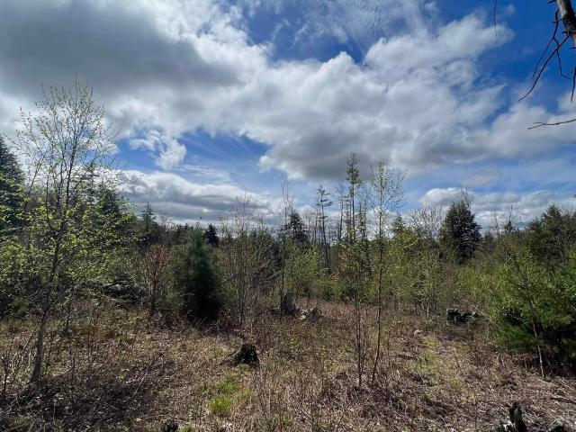 Land for sale in New Hampshire