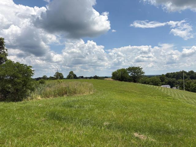 Land for sale in Carlisle, Kentucky