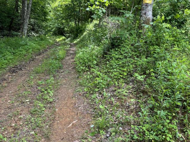 Land for sale in Tennessee