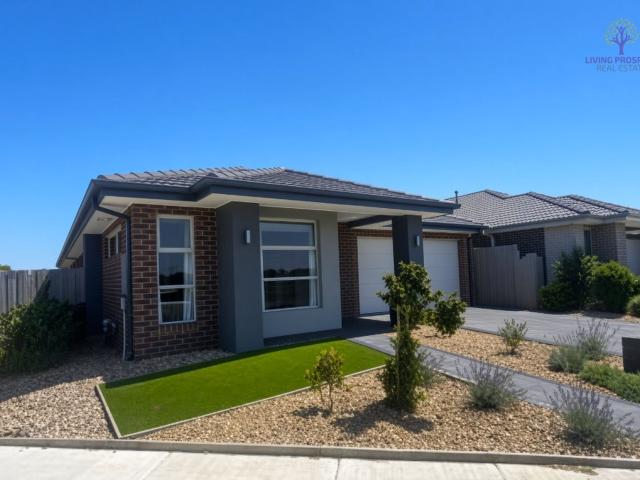 House for rent in Geelong, Victoria