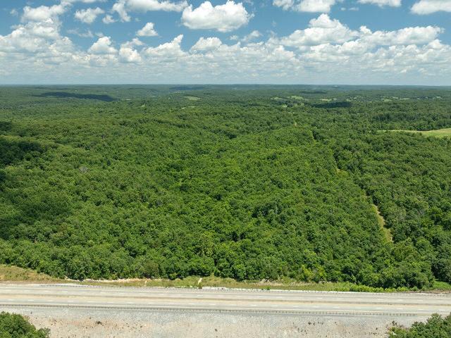 Land for sale in Pineville, Missouri
