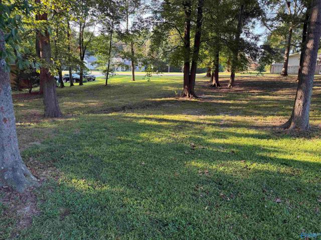 Land for sale in Arab, Alabama