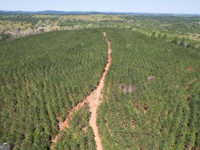 Land for sale in Cedartown, Georgia