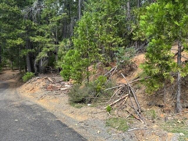 Land for sale in Trinity Center, California