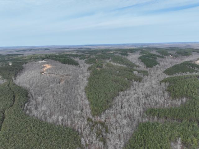 Land for sale in Tennessee