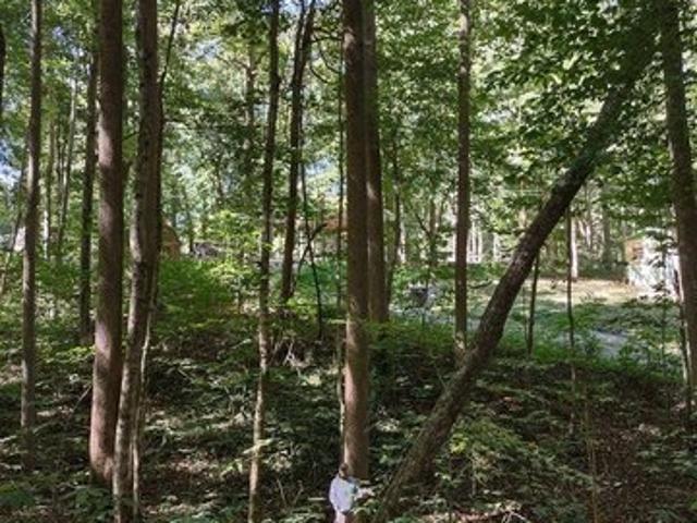Land for sale in Scottsville, Allen County