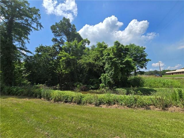 Land for sale in Campti, Louisiana