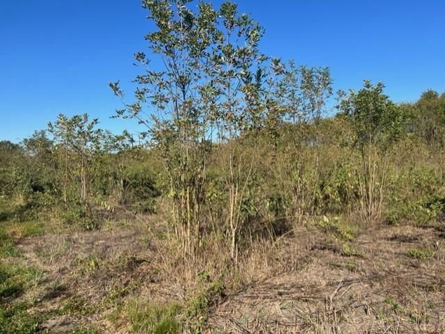 Land for sale in Franklin, Texas