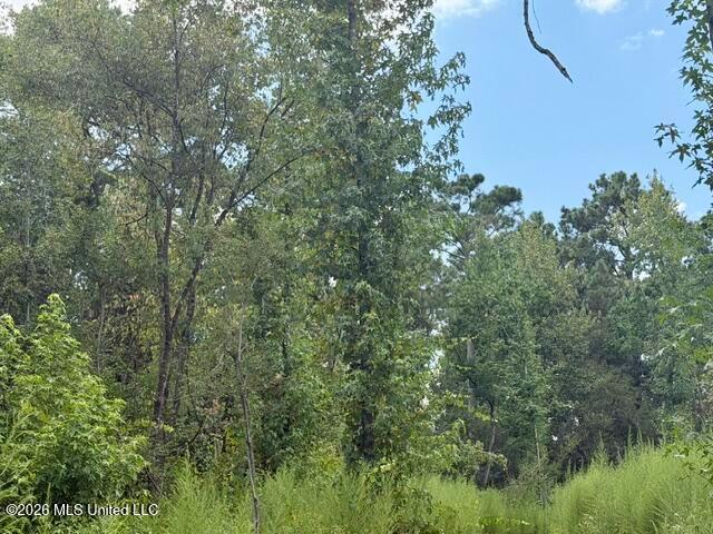 Land for sale in Tylertown, Mississippi