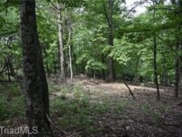 Land for sale in Traphill, North Carolina