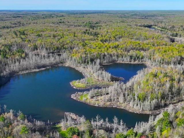 Land for sale in Drummond, Wisconsin