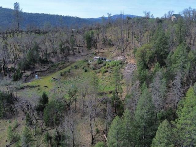 Land for sale in Douglas City, California