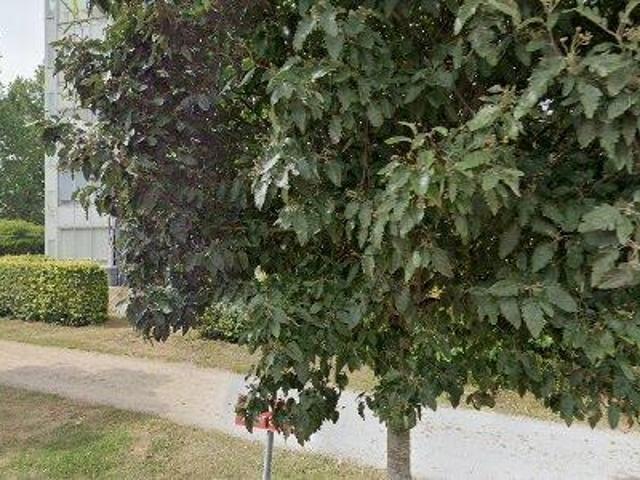 Lägenhet hyra i Norreport, Kristianstad