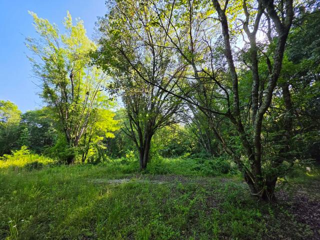 Land for sale in Tennessee