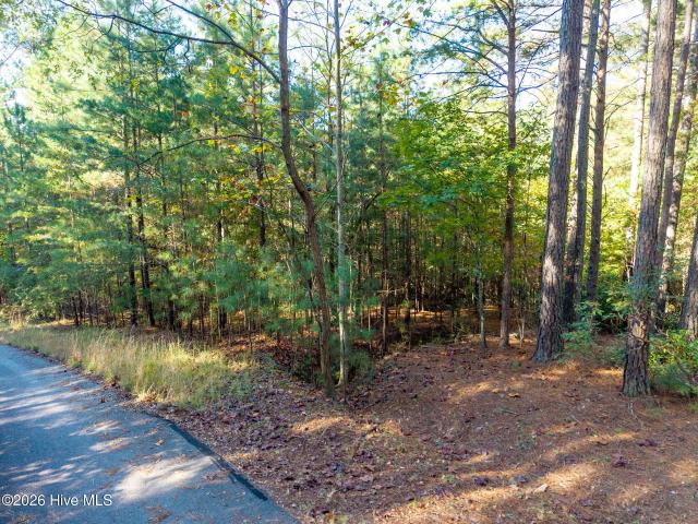 Land for sale in Murphy, Cherokee County