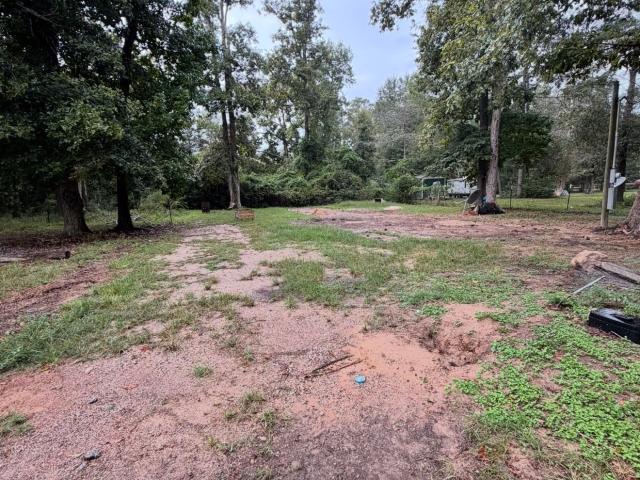 Land for sale in Shepherd, San Jacinto County