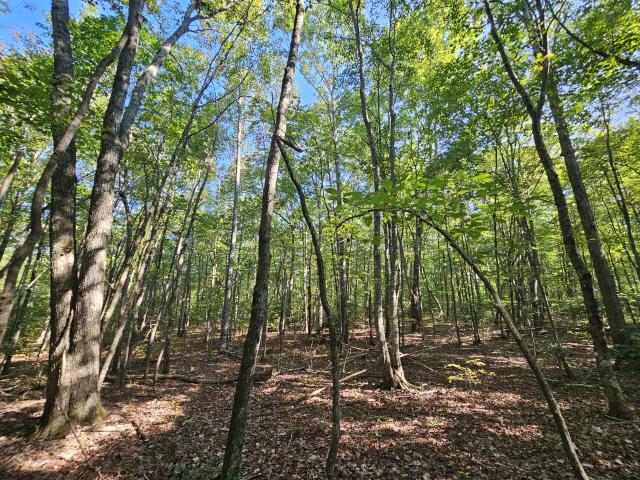 Land for sale in Tennessee