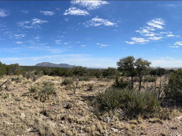 Land for sale in Edgewood, New Mexico