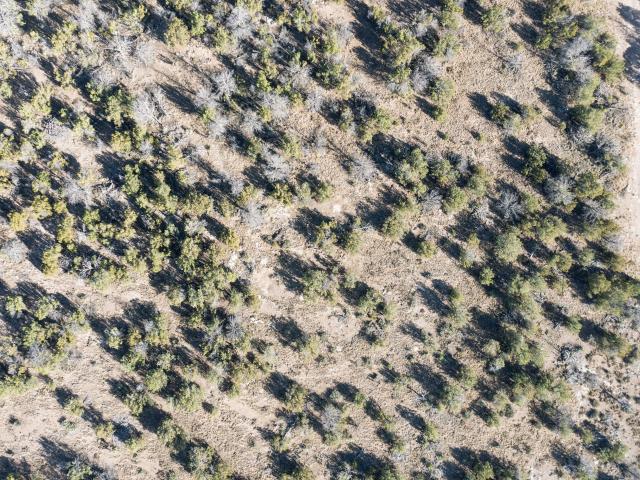Land for sale in Edgewood, New Mexico