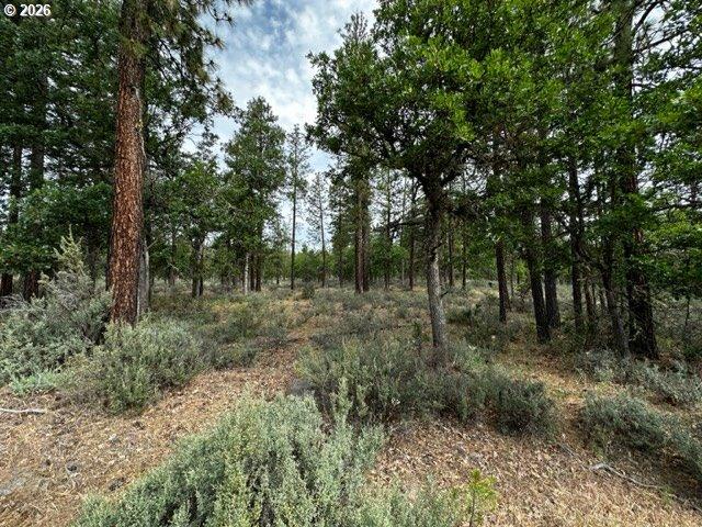 Land for sale in Goldendale, Washington