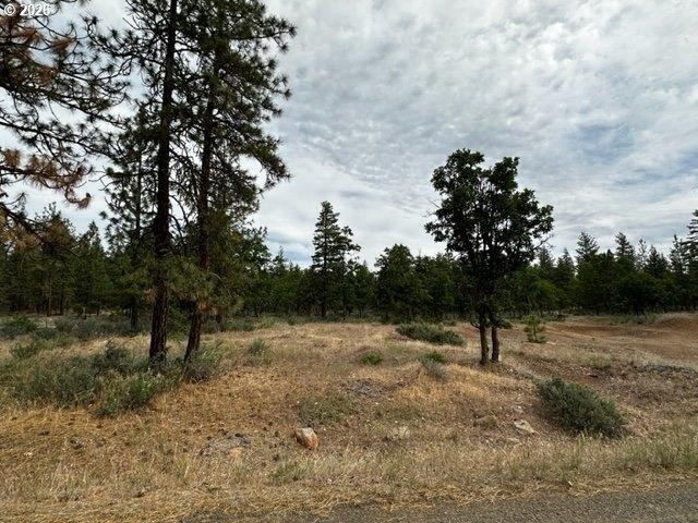 Land for sale in Goldendale, Washington