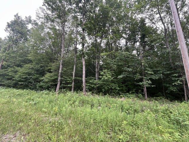 Land for sale in Elmira, Michigan