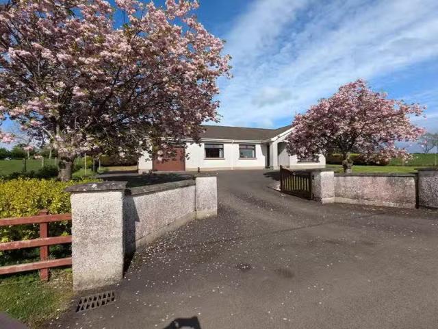 House to rent