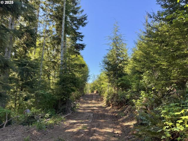 Land for sale in Oregonia
