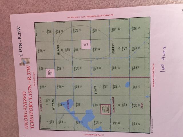 Land for sale in Beltrami, Minnesota