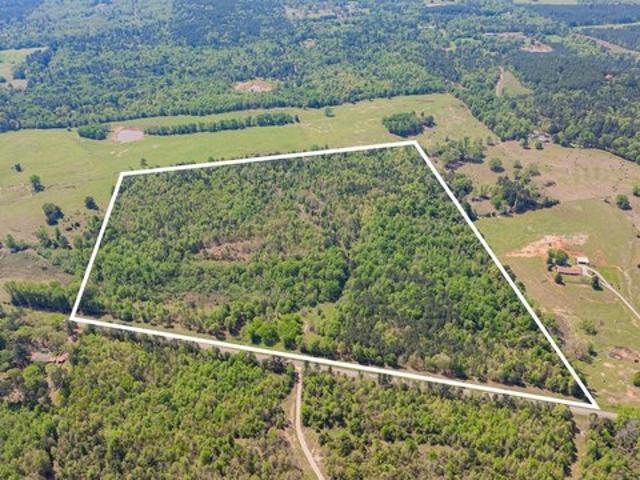 Land for sale in Morris, Texas