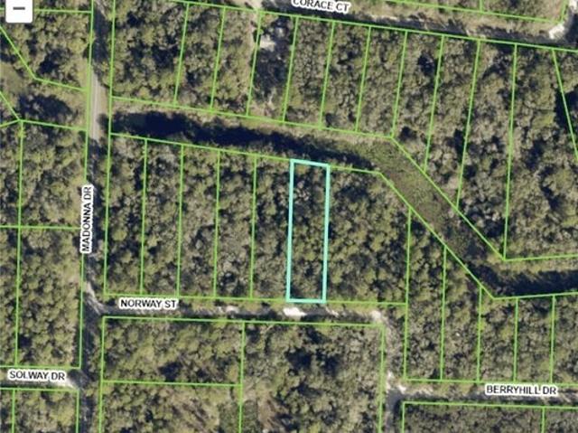 Land for sale in Webster, Florida