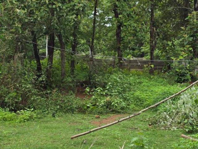 Land for sale in Madya