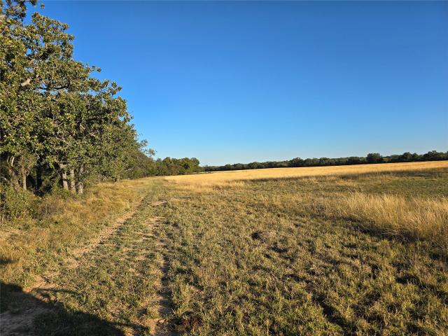 Farm for sale in Coleman, Texas