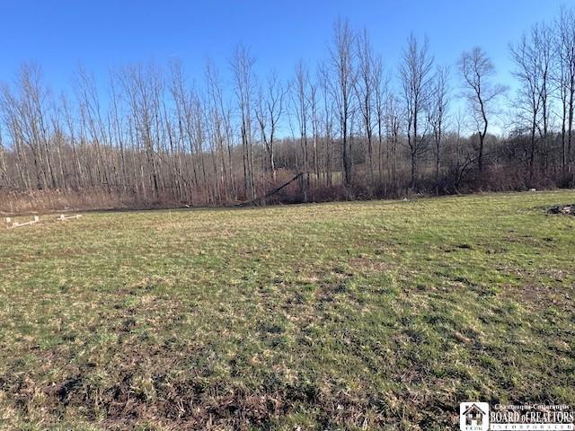 Land for sale in Cassadaga, New York