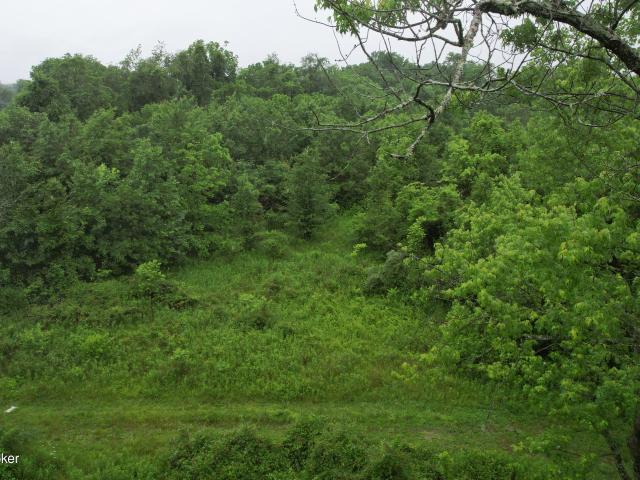 Land for sale in Louisville, Kentucky