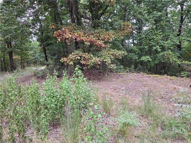 Land for sale in Flippin, Marion County