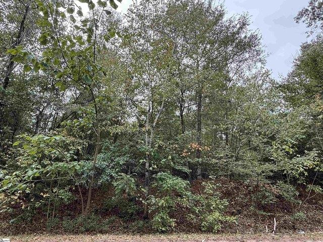 Land for sale in Pelzer, Anderson County