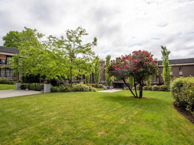 Apartment for rent in New Westminster, British Columbia
