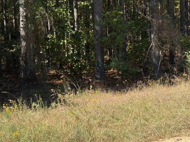 Land for sale in Pine Bluff, Jefferson County