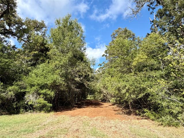 Land for sale in Centerville, Leon County