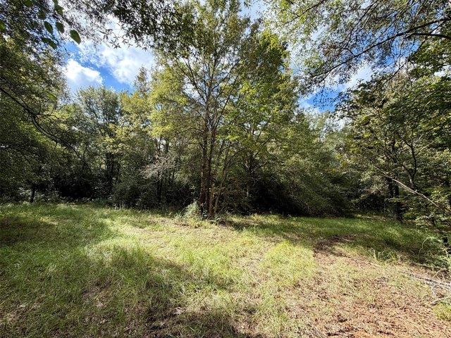 Land for sale in Centerville, Leon County