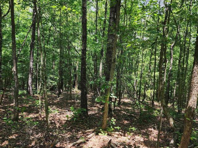 Land for sale in Roanoke, Alabama