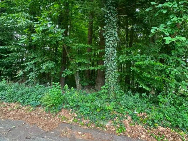 Land for sale in Stone Mountain, Georgia